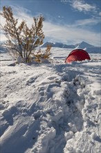 Tent in mountain landscape, Sarek National Park, Laponia World Heritage Site, Norrbotten, Lapland,