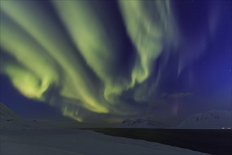 Yellow and green northern lights over snowy mountains, fjord, aurora borealis, winter,