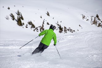 Skiers in the Swiss Alps