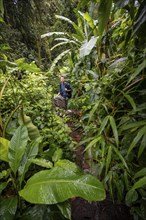 Young man, tourist on a narrow hiking trail between dense vegetation in the tropical rainforest,