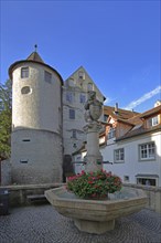 Bear fountain with town coat of arms in front of the historic castle, tower, fountain, bear figure,