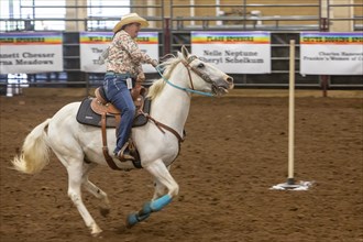 Oklahoma City, Oklahoma, The pole bending competition at the Great Plains Rodeo, an annual gay