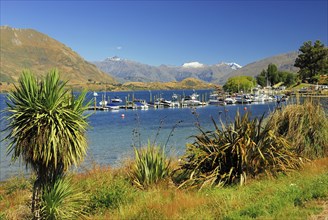 Wanaka, Lake Wanaka, Otago, South Island New Zealand, Lake Wanaka, South Island, New Zealand,