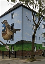 Residential buildings with a bluethroat as a mural after renovation, Bochum-Hamme, Ruhr area, North