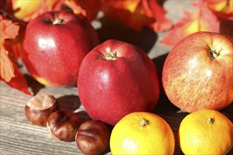 Apples and mandarins on a rustic wooden table as an autumnal motif