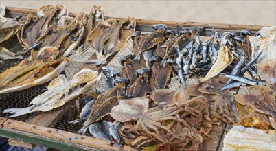 A wooden rack with dried fish of different varieties on the beach, fish drying, Praia da Nazare