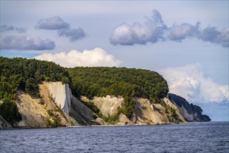 The chalk cliffs of Rügen, cliffs of the Stubbenkammer, in the Jasmund National Park, view of the