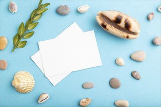 Composition with white paper business cards, seashells, green boxwood. mockup on blue pastel