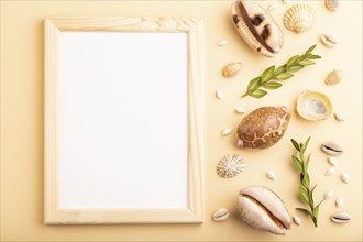 Composition with wooden frame, seashells, green boxwood. mockup on orange background. Blank, top