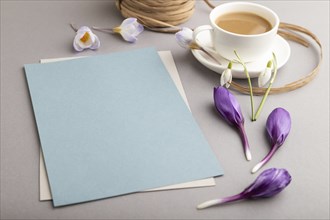 Blue paper sheet mockup with spring snowdrop crocus and galanthus flowers and cup of coffee on gray