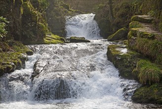 Hoar Oak Water river waterfall at Watersmeet, Lyn Valley, near Lynmouth, Exmoor national park,