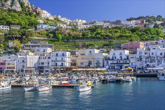 Waterfront at the Marina Grande boat harbour with excursion boats, Capri, Campanian Archipelago,