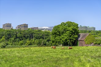 View over the Lottental, in the south of Bochum, to the Ruhr University Bochum, farm, North