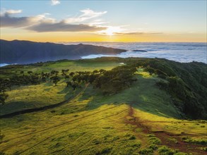 Aerial view of idyllic scenic Fanal Laurisilva forest with centuries-old til trees above clouds on