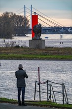 Flood on the Rhine near Duisburg, Rhine bridge Neuenkamp, old and new construction, landmark Rhine