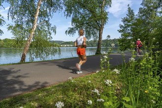 Hiking and cycling on the Ruhr, on Lake Baldeney in Essen, North Rhine-Westphalia, Germany, Europe