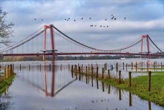 Flood on the Rhine, flooded Rhine meadows, fields, Rhine bridge Emmerich, road bridge of the B220,