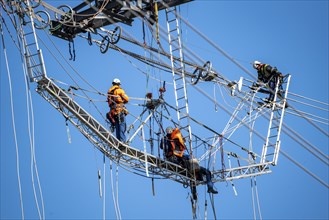 New construction of a 380 kV extra-high-voltage overhead line, with 23 pylons over a length of 7.5