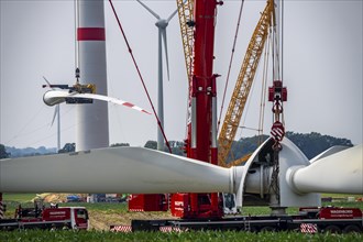 Dismantling of a wind power plant in a wind farm near Issum, 9 older wind turbines from the