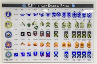 Chart showing US Military enlisted personnel rank information