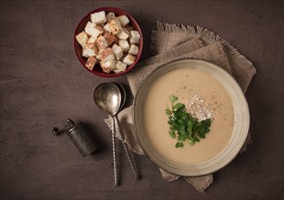 Cream soup, mashed soup, beige, mushroom, onion, cauliflower, vegetarian soup