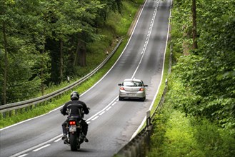 Country road through a forest, near Hofgeismar, in Hesse, Germany, Europe