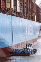 Magleby Maersk container freighter at EUROGATE Container Terminal, Waltershofer Hafen, disposal of