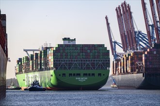 Container ship Ever Gifted, arriving at the port of Hamburg, Waltershofer Hafen, HHLA Container