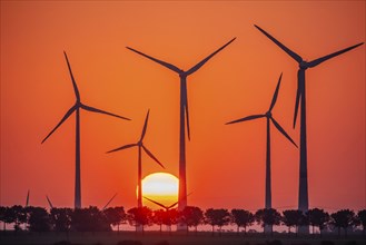 Sunrise at the wind farm in Marzahna, dawn. Marzahna, Treuenbrietzen, Brandenburg, Germany, Europe