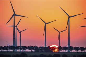 Sunrise at the wind farm in Marzahna, dawn. Marzahna, Treuenbrietzen, Brandenburg, Germany, Europe