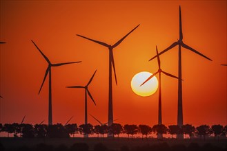 Sunrise at the wind farm in Marzahna, dawn. Marzahna, Treuenbrietzen, Brandenburg, Germany, Europe