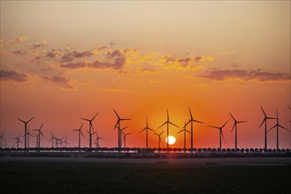 Sunrise at the wind farm in Marzahna, dawn. Marzahna, Treuenbrietzen, Brandenburg, Germany, Europe