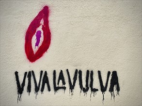 Wall art with a feminist message and eye-catching colourful design, the lettering Viva la Vulva can