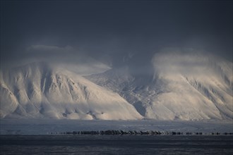 Snow-covered mountains, veil of clouds, Woodfjord, Svalbard and Jan Mayen, Norway, Europe