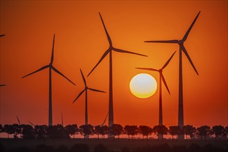 Sunrise at the wind farm in Marzahna, dawn. Marzahna, Treuenbrietzen, Brandenburg, Germany, Europe