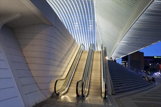 Liège-Guillemins train station by architect Santiago Calatrava, Liege, Belgium, Europe