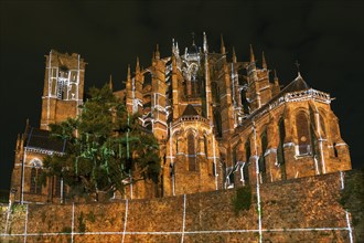 'Night of the Chimeras', Le Mans, Sarthe, Pays de la Loire, France, Europe