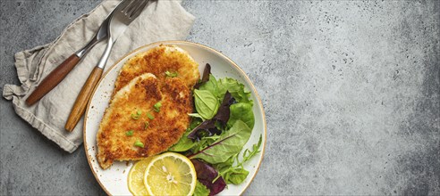 Crispy panko breaded fried chicken fillet with green salad and lemon on plate on gray rustic