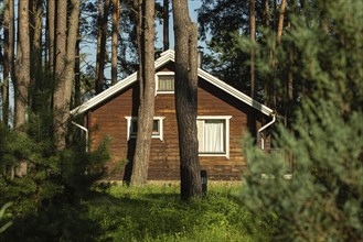 Cozy small wooden house cottage in a pines forest in summer. Rustic tranquil cabin retreat on