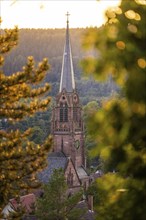 Church tower of a village church, surrounded by trees, in the light of the sunset, Nagold, Black