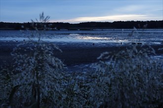 Upper Lusatian Heath and Pond Landscape, October, Lusatia, Saxony, Germany, Europe