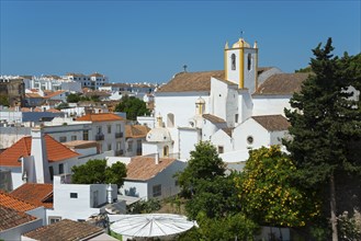 White church surrounded by classical buildings and trees under a bright blue sky, view from the