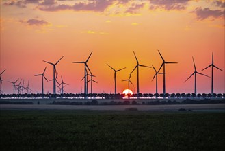 Sunrise at the wind farm in Marzahna, dawn. Marzahna, Treuenbrietzen, Brandenburg, Germany, Europe