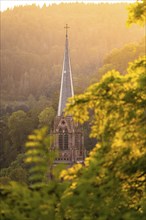 Gothic church tower surrounded by trees, illuminated by warm sunset light, Nagold, Black Forest,