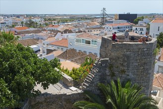 View from a castle over the city with surrounding palm trees and traditional architecture in the