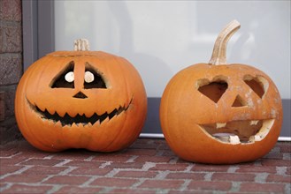 Pumpkins (Cucurbita), Halloween, grimace, decoration, tradition, Two carved pumpkins lie in front