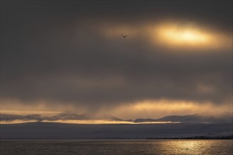 Sun breaking through clouds, Woodfjord, Spitsbergen archipelago, Svalbard and Jan Mayen, Norway,