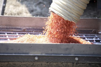 Seeding in Saskatchewan drought conditions Agriculture Canada