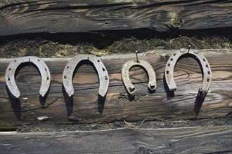 Village house with horseshoes