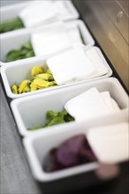 Mixed fresh herbs in restaurant kitchen interior